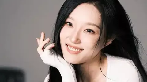 宠物狗上桌就餐