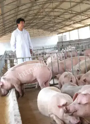 企业家夫妇羁押