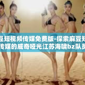 麻豆短视频传媒免费版-探索麻豆短视频传媒的威奇哑光江苏海啸bz队员们实际工作体验的免费版之旅-麻豆短视频传媒免费版